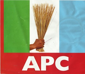 APC party flag